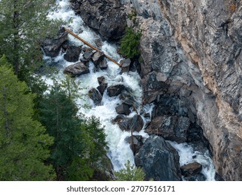 A dramatic river cuts through a rocky canyon edged by dense evergreen forest in BC, Canada