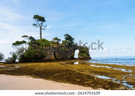 A dramatic rock formation juts out from the shore of Neil Island, Andaman and Nicobar Islands, India.