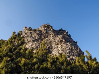 Dramatic Rocky Mountain Summit Surrounded by Sunlit Evergreen Trees Against Clear Blue Sky