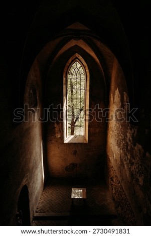Dramatic ruins of the Gothic Rosa Coeli monastery in Dolní Kounice, Czech Republic. Captures decay and history.