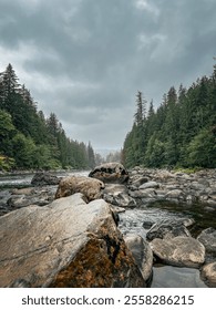 Dramatic running stream and rocks