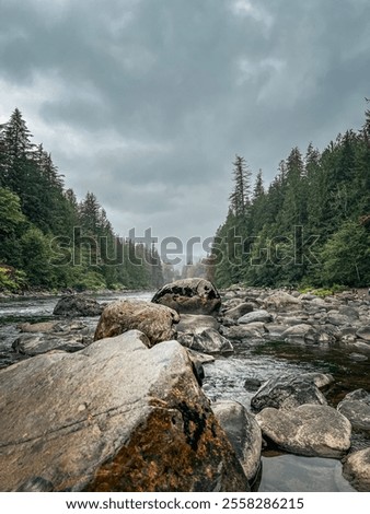 Dramatic running stream and rocks