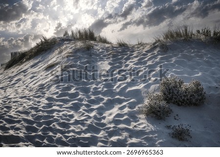 Dramatic sand dunes landscape under a dark cloudy sky The sun casts a strong light on the rippled sand texture and maritime grass creating a feeling of wildness and isolation