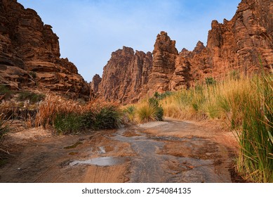 Dramatic sandstone cliffs and water stream in the Wadi Al Disah canyon near Tabuk in Saudi Arabia