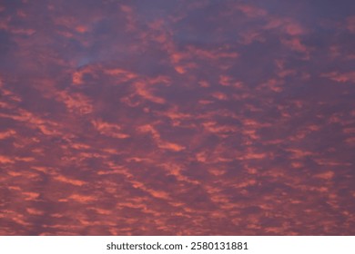 Dramatic scene of blue and red-tinged clouds during a colorful sunset. Beautiful natural light creates a serene and warm atmosphere.