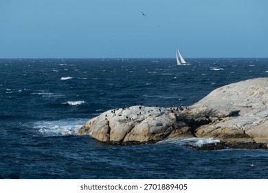 Dramatic scene off the coast of Bicheno in Eastern Tasmania : rocky outpost and sail ship in the background in huge gales of wind and waves - Australia