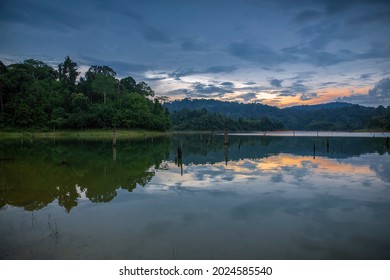 Dramatic scene reflecting scenic view of a lake in the forest during morning.