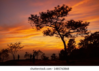 Dramatic scenery of sunset at Pha Mak Duk Cliff, Phu Kradueng National Park Loei, Thailand.