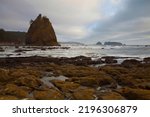 Dramatic sea stack and rocky beach at low tide at Rialto Beach in Olympic National Park

