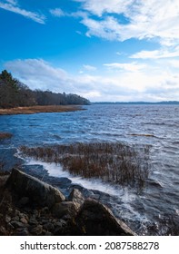 Dramatic Seascape With Aqua Plants, Glacial Rocks, Forest Island, And Cumulous Clouds.