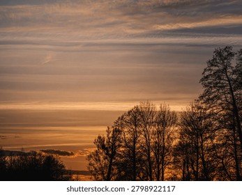 A dramatic and serene view featuring the dark silhouette of a forest line against a magnificent twilight sky. Warm, golden hues illuminate the layered clouds, creating a moody and atmospheric landscape perfect for evoking peace and solitude.