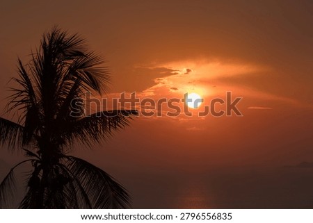 Dramatic silhouette of a palm tree against a vivid crimson and orange sunset sky at Koh Samui Thailand