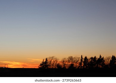 Dramatic silhouetted tree line against vibrant orange sunset horizon with expansive gradient sky and layered evening clouds.