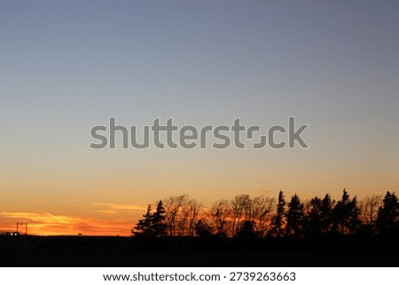 Dramatic silhouetted tree line against vibrant orange sunset horizon with expansive gradient sky and layered evening clouds.