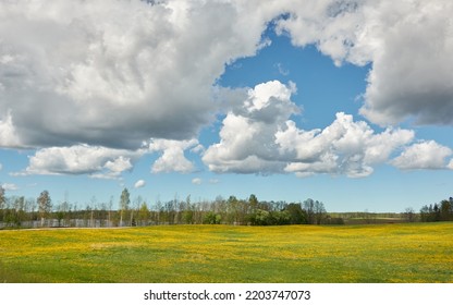 Dramatic Sky Above The Hills Of A Green Plowed Agricultural Field And Forest. Glowing Clouds After The Rain And Storm. Pure Sunlight. Idyllic Rural Scene. Spring, Early Summer. Nature, Ecology Themes