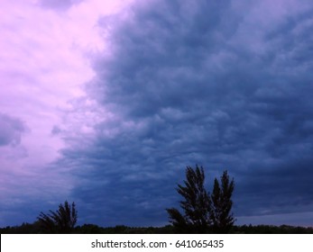 Dramatic sky with clouds above the forest. Asperatus.