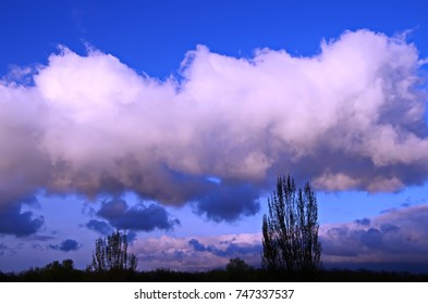 Dramatic sky with clouds above the forest.