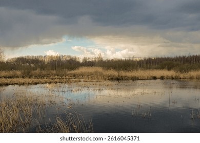 dramatic sky with dark grey and white clouds over bare trees and golden reed reflecting in the water in the wetlands of Gentbrugse Meersen nature reserve, Ghent, Flanders, Belgium 