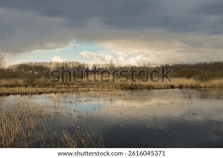 dramatic sky with dark grey and white clouds over bare trees and golden reed reflecting in the water in the wetlands of Gentbrugse Meersen nature reserve, Ghent, Flanders, Belgium 