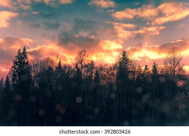 Dramatic sky over forest in evening