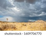 Dramatic sky over Joshua Tree National Park, California, USA