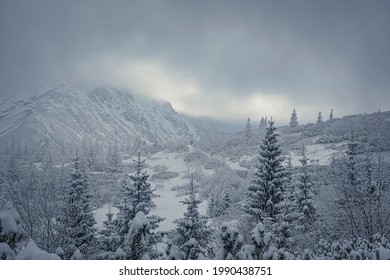 Dramatic sky over the peaks of High Tatras, Poland. Dark December in the national park. Snow covering the valley. Selective focus on the trees, blurred background. - Shutterstock ID 1990438751