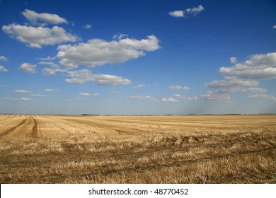 Dramatic Sky Over Prairie Farm Field