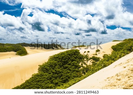 Dramatic sky over the sand dunes and lush green vegetation with a view of the ocean in Natal, Rio Grande do Norte, Brazil.