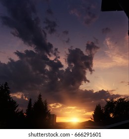 dramatic sky over shadow trees