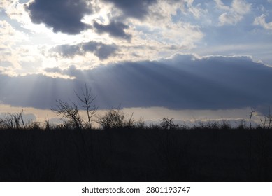 Dramatic sky with powerful sun rays shining through dark clouds above a natural landscape. Silhouetted trees and vegetation create a striking foreground while beams of light illuminate the atmosphere.