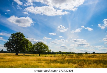 Dramatic Sky Of Richmond Park In London, UK