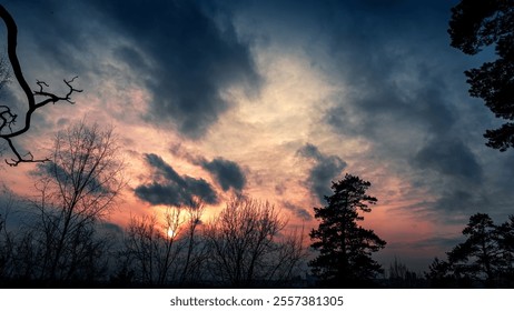 Dramatic sky with silhouetted trees at sunset. - Powered by Shutterstock