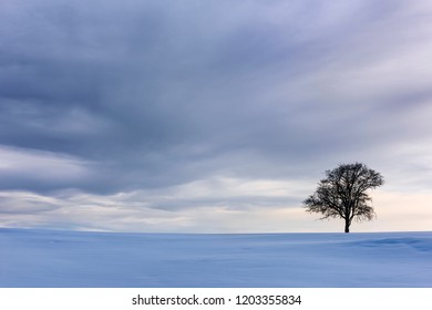 Dramatic Sky and Single Tree in Snow