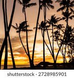 Dramatic Sky at Sunset on Coconut Palm Lined Shoreline at One Alii Beach Park, Molokai, Hawaii, USA