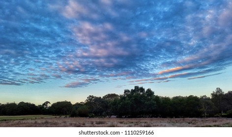 Dramatic Sky and Trees