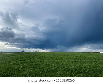 A dramatic spring storm brews over a lush green field in rural California. The deep blue clouds contrast against the vibrant landscape, capturing a moment before heavy rainfall. - Powered by Shutterstock - Get 15% off with code: PIKWIZARD15