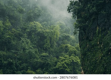 Dramatic steep limestone cliff faces covered in dense tropical rainforest vegetation and fog.
