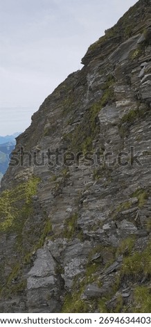 A dramatic, steep vertical shot of a rocky mountain face composed of layered slate and schist, with small patches of grass clinging to the treacherous cliff edge.