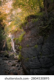 A dramatic stone cliff covered with green ferns and moss rises above a rocky canyon floor. Golden sunlight filters through the dense autumn forest canopy above, creating a mysterious and beautiful nature landscape background.
