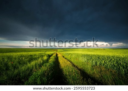 Dramatic storm clouds loom over green fields. Textured and dynamic sky. Strange sky in bad weather. Force of nature. The atmosphere before a hurricane. Photo wallpaper. Beauty of the earth.