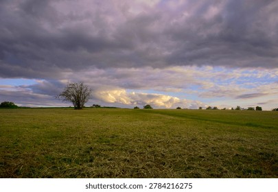 Dramatic storm clouds over a green rural field with a single lonely bare tree at sunset, scenic countryside landscape