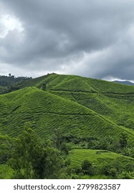 Dramatic Storm Clouds Over Lush Green Tea Plantation Hills in Cameron Highlands, Malaysia