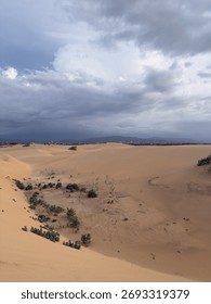  Dramatic Storm Clouds Over Vast Golden Desert Sand Dunes Landscape - Los Medanos de Coro, Venezuela