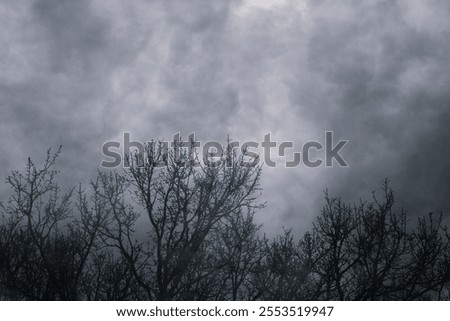 Dramatic storm clouds in sky on glum evening with tree silhouettes in background with bare branches.