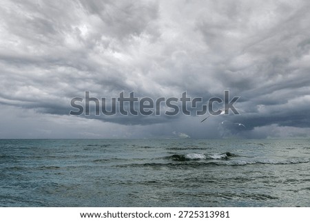 Dramatic stormy dark grey sky over cold ocean seascape with flyi