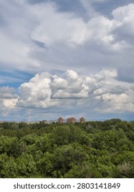 A dramatic summer cloudscape over the green canopy of central Ust-Kamenogorsk (Oskemen), the regional capital of East Kazakhstan, captured on a warm, breezy day when towering cumulus formations dominate the sky. The composition is divided into three distinct horizontal layers that together tell a story of a living, breathing metropolitan landscape embedded in nature. The lower third of the frame is filled with a dense, unbroken canopy of deciduous trees in full summer leaf — a rich mosaic of greens ranging from bright lime to deep olive, suggesting the extensive riverine and park greenery for which the city's central districts are known, particularly along the Irtysh and Ulba river corridors. Just beyond the treeline, a narrow band of residential architecture emerges — several characteristic Soviet-era tower blocks in warm brick-red rise from the foliage, their blocky rectangular forms a distinctive marker of the mid-twentieth-century civic fabric, with lower-rise buildings and infrastructure stretching to the left along the horizon. The Altai foothills are faintly visible as a dark blue-grey ridge in the far distance behind the buildings, grounding the scene within its vast mountain geography. Higher up, a spectacular billowing mass of bright white cumulus clouds fills the upper two-thirds of the frame, their sculpted forms dramatic and voluminous against the pale blue summer sky. Wisps of thinner cloud layer streak across the topmost portion of the image, adding depth and atmospheric movement to the scene. The overall mood is fresh, expansive, and quintessentially continental — a midsummer day in a mid-sized Kazakh industrial and administrative center, where Soviet-era architecture, abundant municipal greenery, and the immense open skies of Central Asia coexist in an unexpectedly picturesque balance.