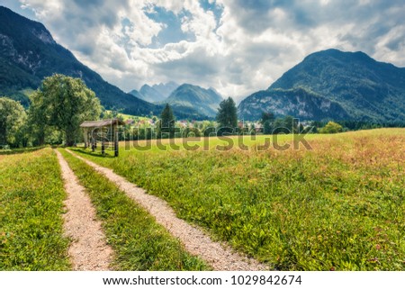 Similar – Foto Bild verträumt Natur Pflanze