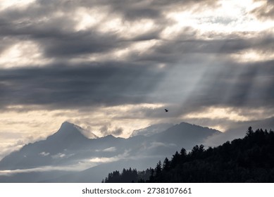 Dramatic sun rays breaking through heavy storm clouds over Mount Cheam in Chilliwack, British Columbia, Canada. Layers of mountain ridges and forested hills fade into mist as beams of light illuminate the landscape. A lone bird flies across the sky, adding scale and atmosphere to this moody Pacific Northwest scene.

This image captures the power and beauty of changing weather in the Fraser Valley, with dynamic cloud formations, mountain silhouettes, and radiant crepuscular rays. Ideal for use in travel, nature, inspiration, hope, faith, wilderness, and environmental themes. Perfect for editorial features, outdoor advertising, tourism promotion, motivational concepts, and dramatic landscape backgrounds.