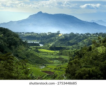 Dramatic sun rays breaking through clouds over lush green terraced rice fields in a tropical mountain valley. 