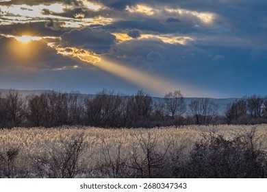 A dramatic sunbeam cuts through the clouds, illuminating a field of tall grasses during sunrise or sunset. The warm light contrasts with the dark sky, creating a serene and poetic atmosphere.